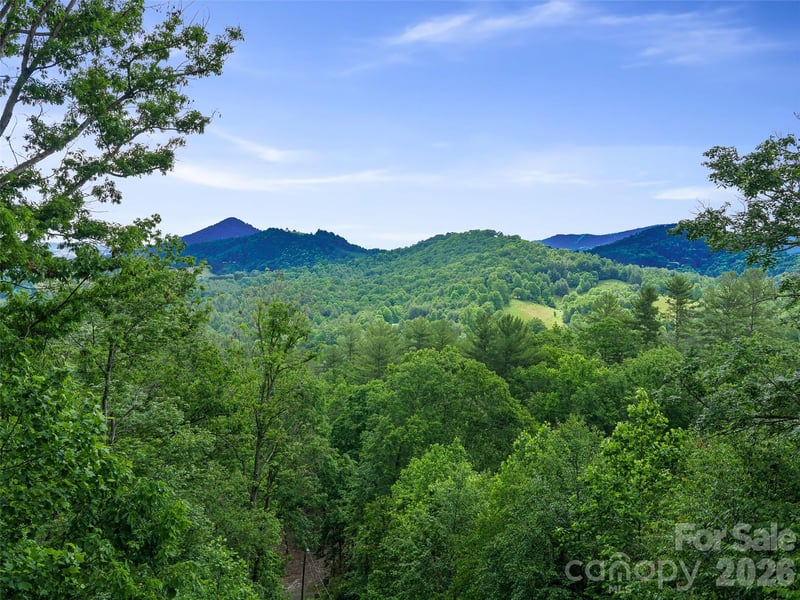 357 Rosewood Ln, Burnsville, NC 28714