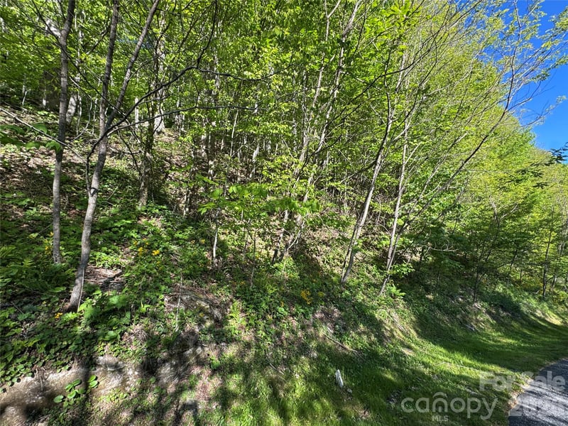 21 Overlook Dr #21/23, Mars Hill, NC 28754