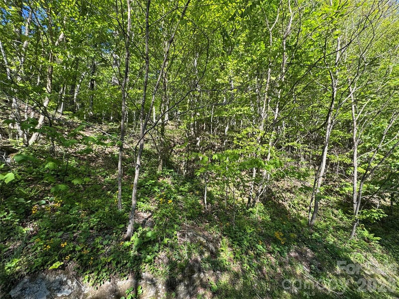 21 Overlook Dr #21/23, Mars Hill, NC 28754