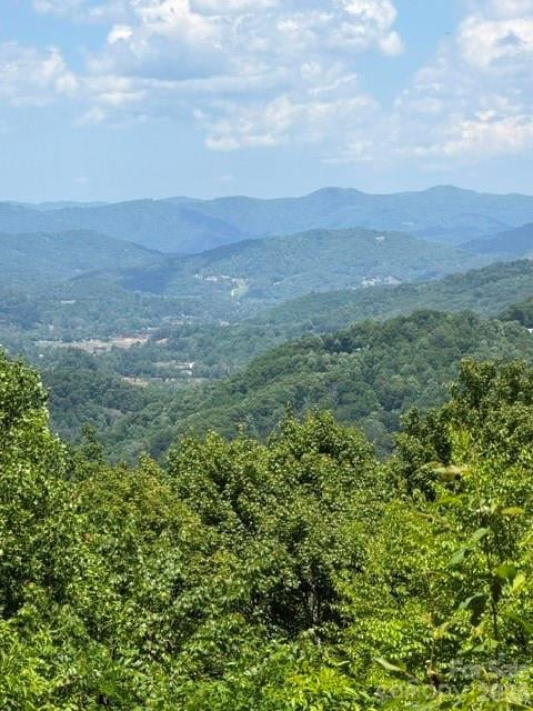 105 Dotsu Trl, Maggie Valley, NC 28751