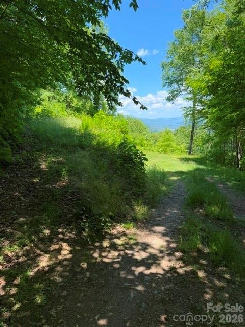 105 Dotsu Trl, Maggie Valley, NC 28751