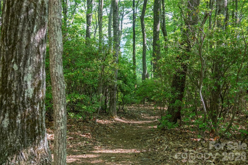 TM I 33 Toxaway Dr, Lake Toxaway, NC 28747