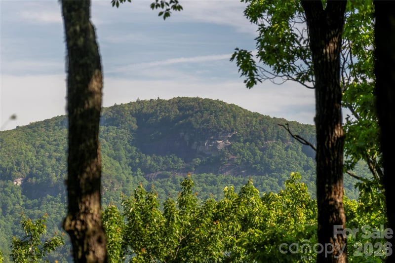 TM I 33 Toxaway Dr, Lake Toxaway, NC 28747