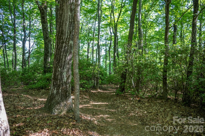 TM I 33 Toxaway Dr, Lake Toxaway, NC 28747
