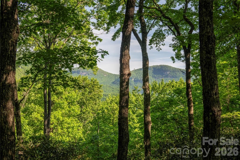 TM I 33 Toxaway Dr, Lake Toxaway, NC 28747