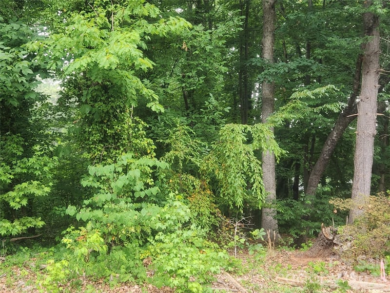205 7th Street Pl, Conover, NC 28613
