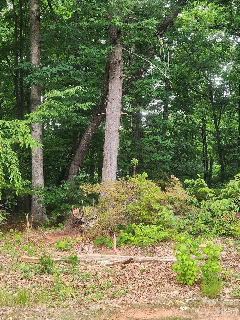 205 7th Street Pl, Conover, NC 28613