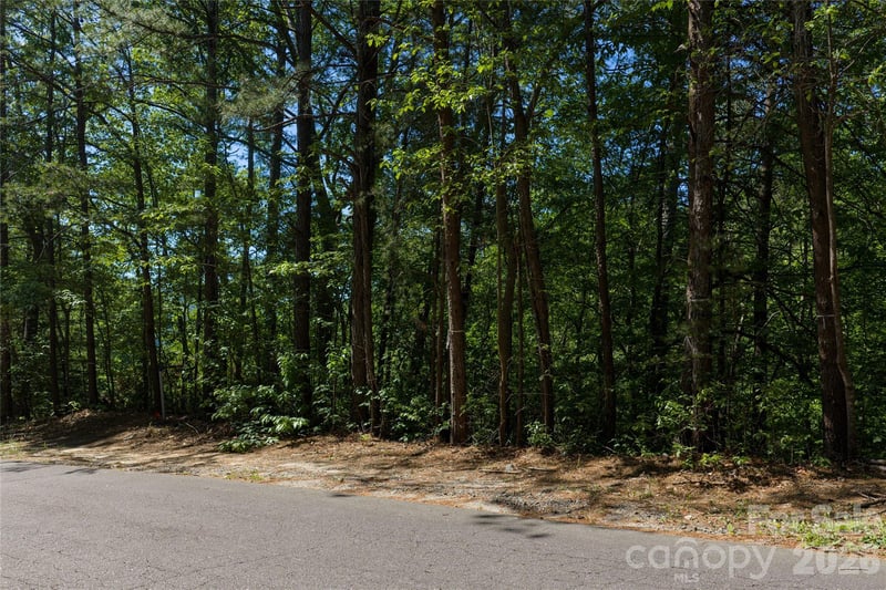 000 Dogwood Dr, Lake Lure, NC 28746
