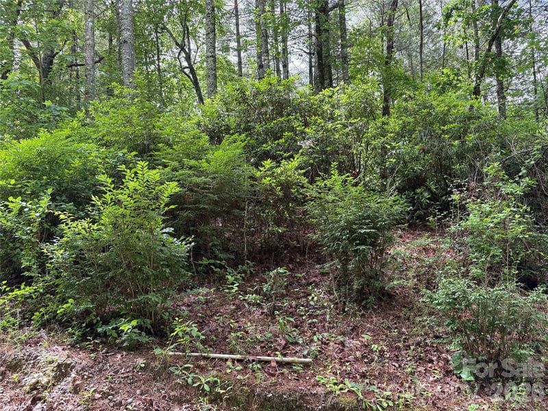 197 Fox Hollow Cir #28, Otto, NC 28763