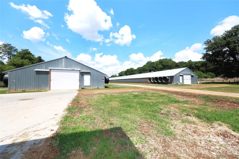 2121 Whitetail Rd, Blackville, SC 29817