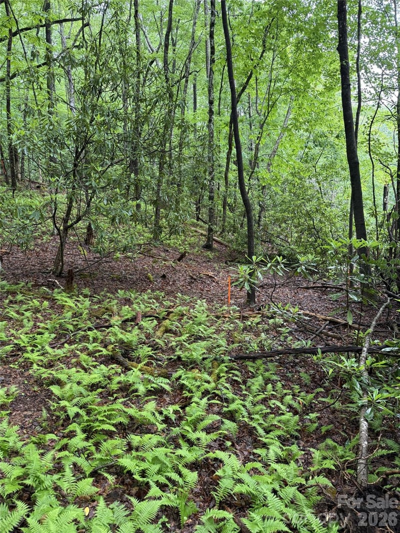 Lot 68 Cherrywood Ln, Pisgah Forest, NC 28768
