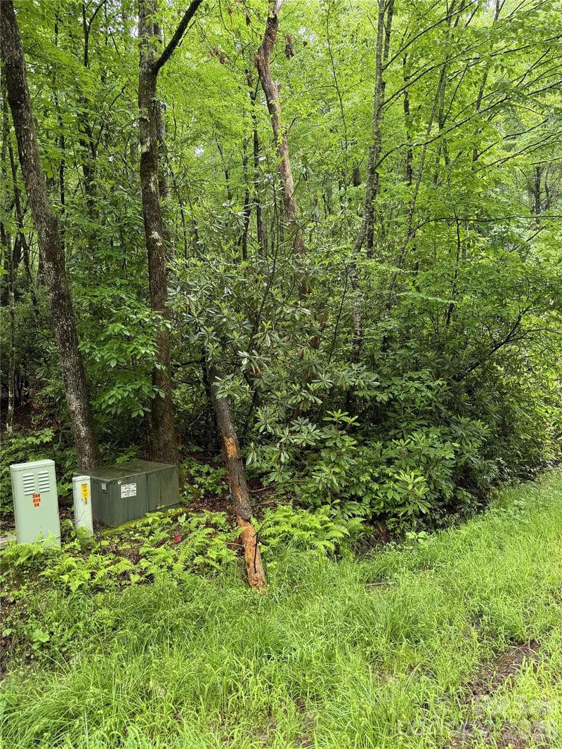 Lot 68 Cherrywood Ln, Pisgah Forest, NC 28768