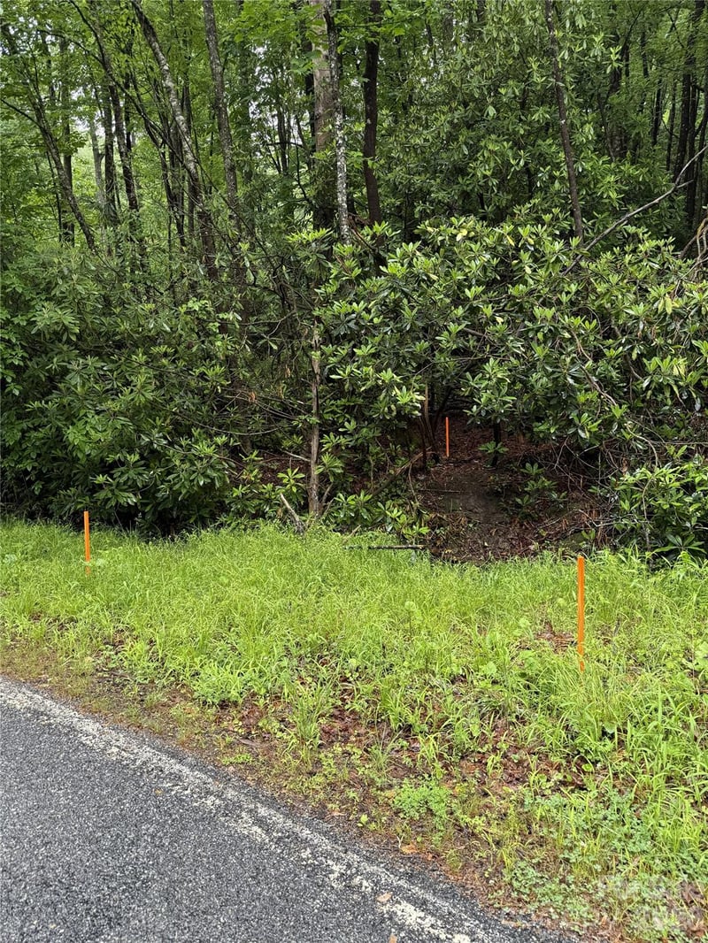 Lot 68 Cherrywood Ln, Pisgah Forest, NC 28768
