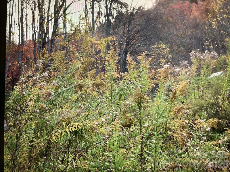 Prices Creek Rd, Burnsville, NC 28714