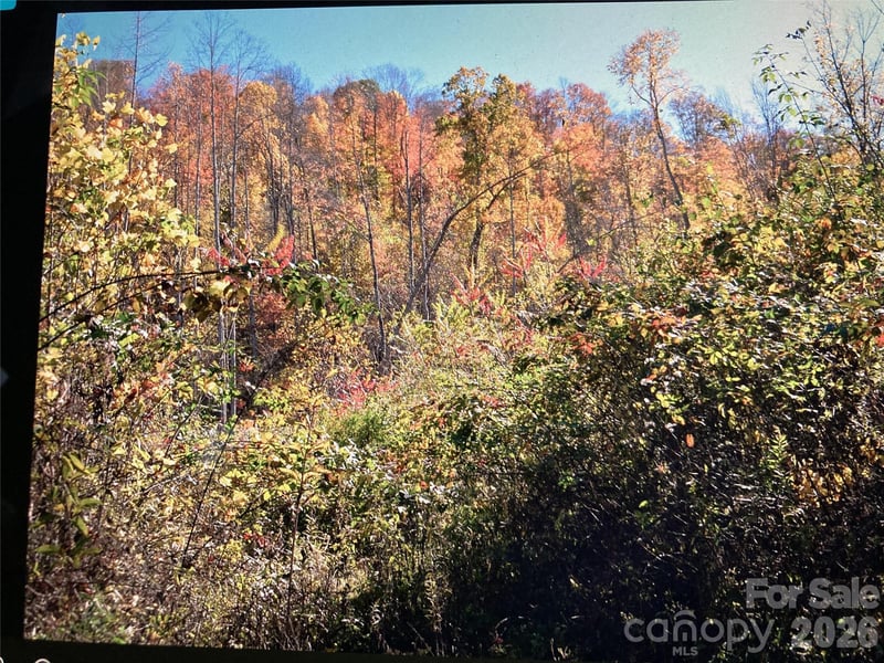 Prices Creek Rd, Burnsville, NC 28714