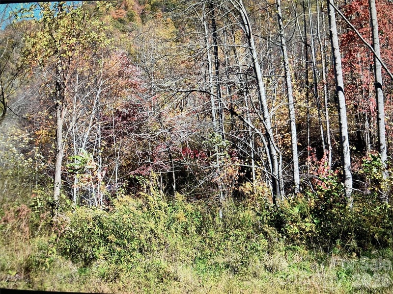 TBD Prices Creek Rd, Burnsville, NC 28714