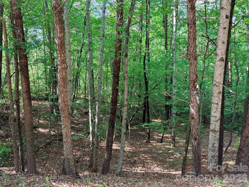 Mcdaniel Ct, Lake Lure, NC 28746