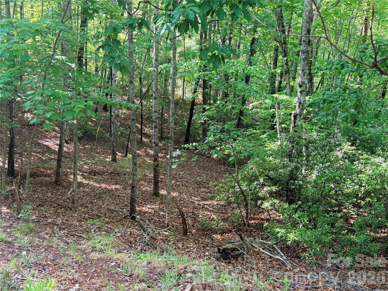 Mcdaniel Ct, Lake Lure, NC 28746