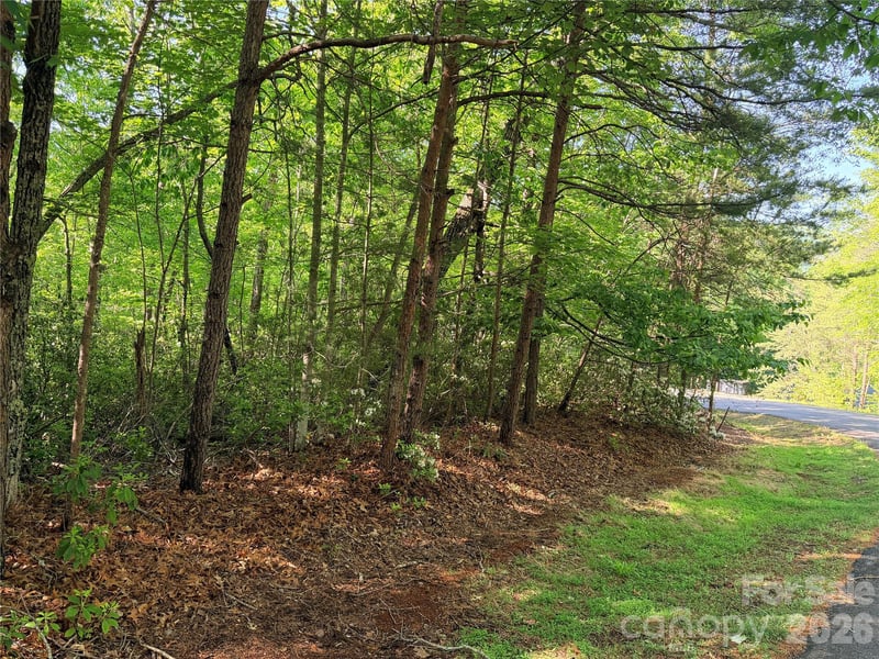 Mcdaniel Ct, Lake Lure, NC 28746