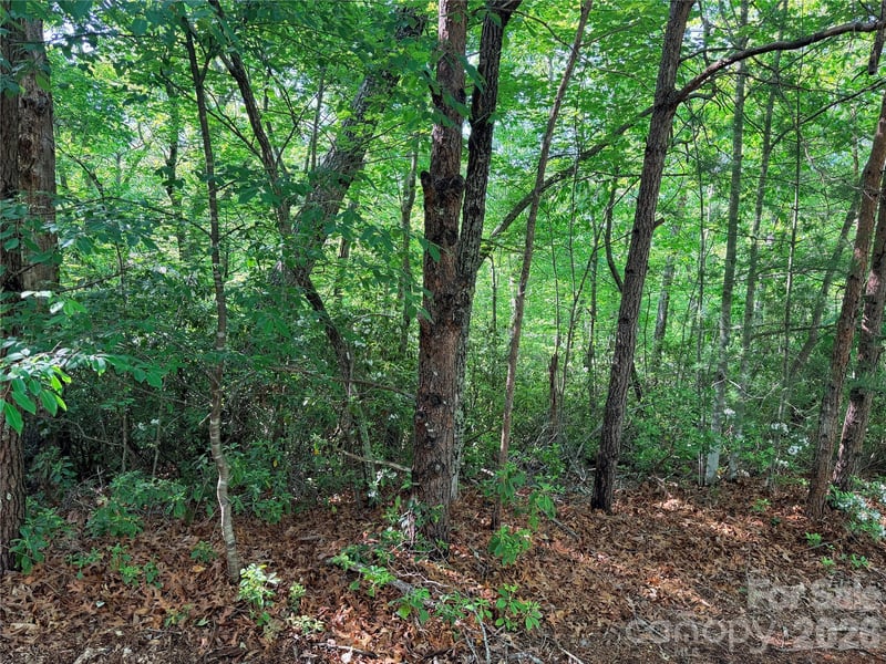 Mcdaniel Ct, Lake Lure, NC 28746