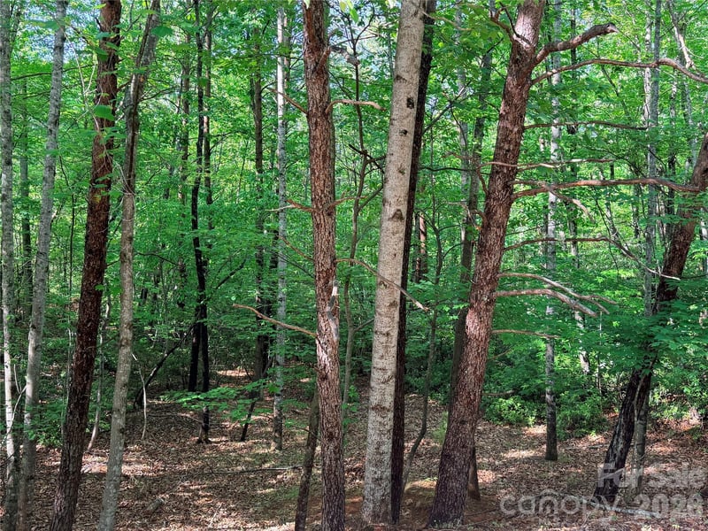 Mcdaniel Ct, Lake Lure, NC 28746