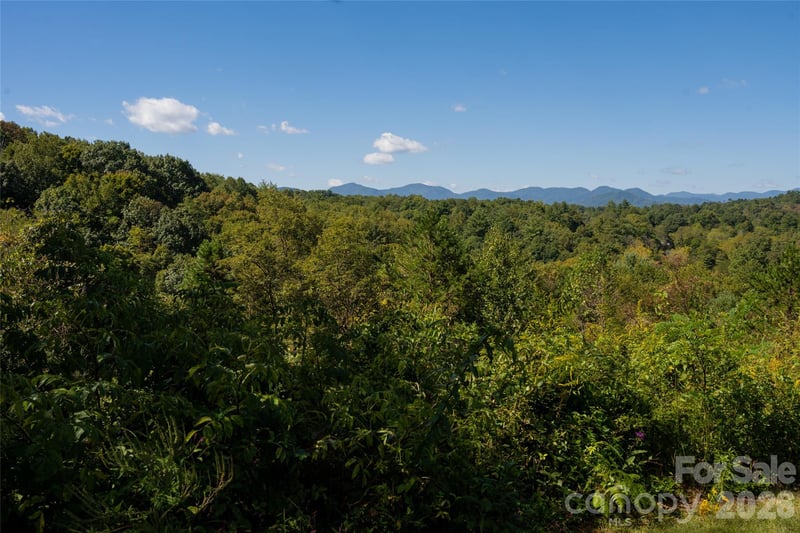 68 Sweet Fern Pw, Asheville, NC 28804