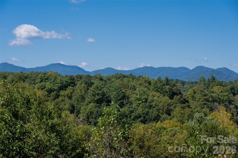 68 Sweet Fern Pw, Asheville, NC 28804