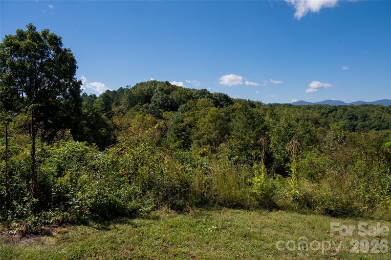 68 Sweet Fern Pw, Asheville, NC 28804