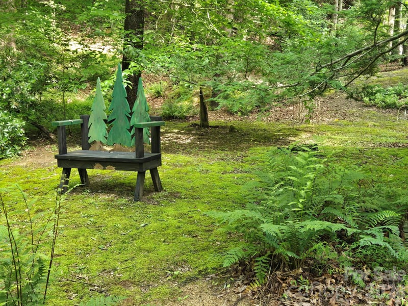 132 Rumbling Bald Rd, Lake Lure, NC 28746