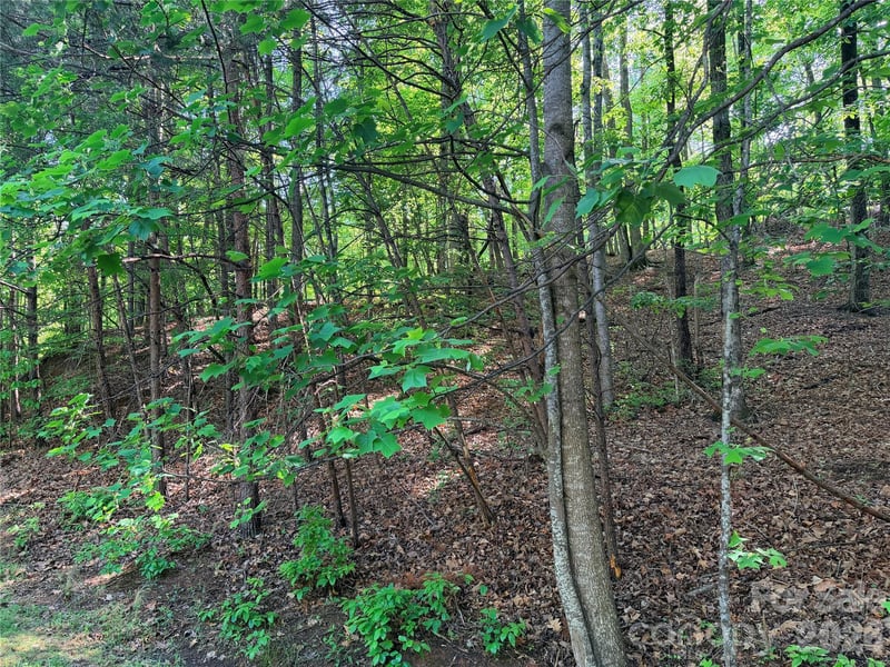 0000 Lakewood Dr, Lake Lure, NC 28746
