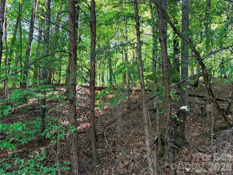 0000 Lakewood Dr, Lake Lure, NC 28746