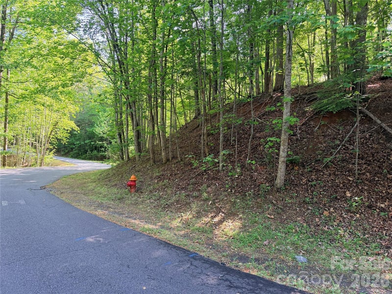 0000 Lakewood Dr, Lake Lure, NC 28746