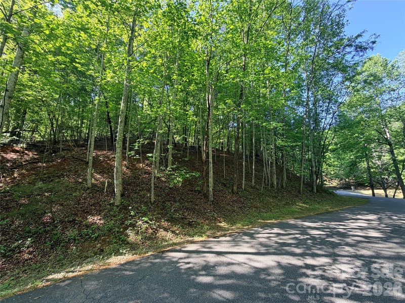 0000 Lakewood Dr, Lake Lure, NC 28746