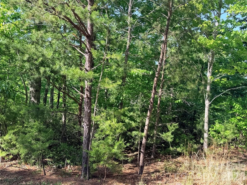 Eagles Crest Way, Lake Lure, NC 28746