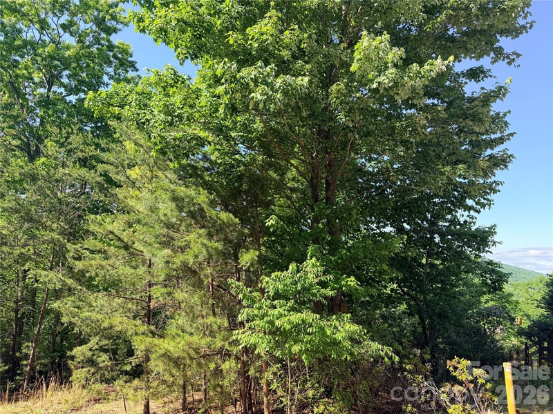 Eagles Crest Way, Lake Lure, NC 28746