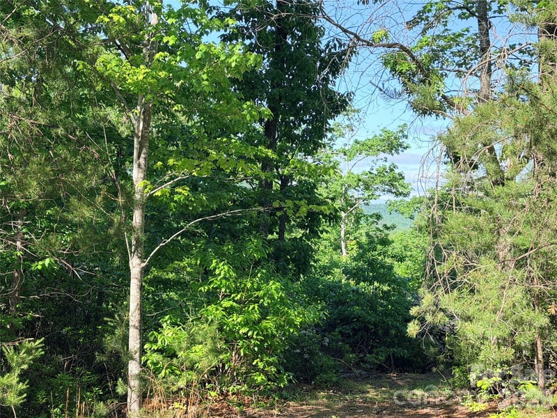 Eagles Crest Way, Lake Lure, NC 28746