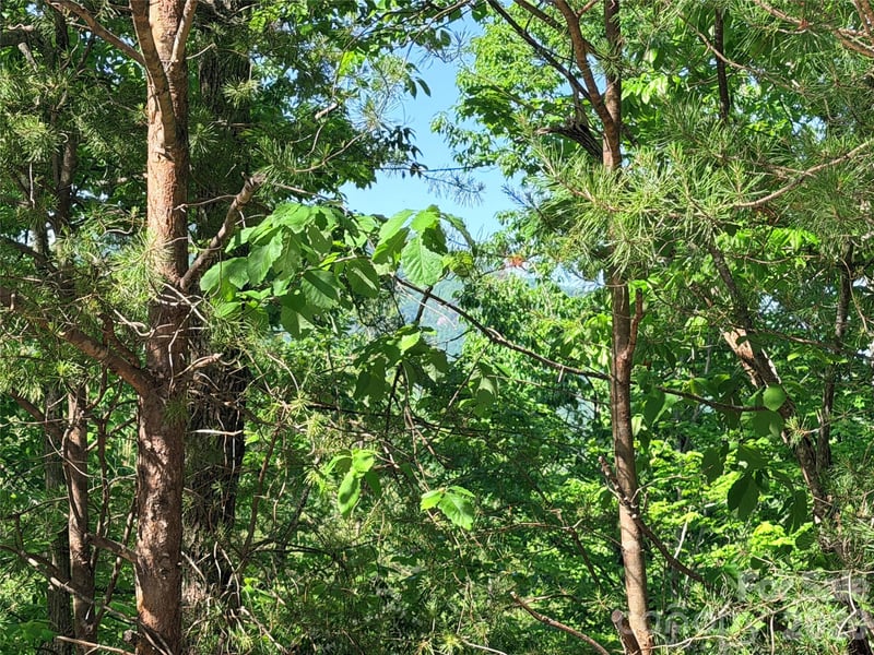 Eagles Crest Way, Lake Lure, NC 28746