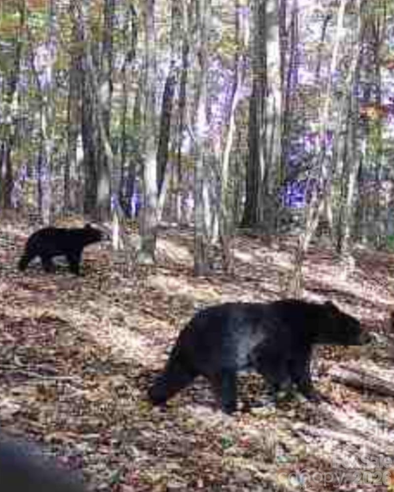 TBD Boone Gap Ln, Taylorsville, NC 28681