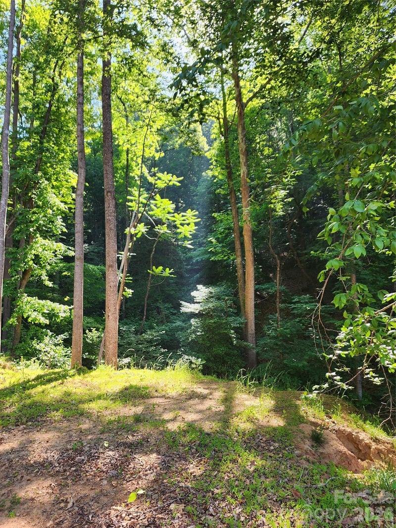 TBD Boone Gap Ln, Taylorsville, NC 28681