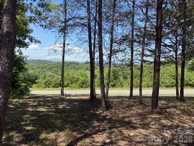 1431 Mountain Creek Rd, Rutherfordton, NC 28139