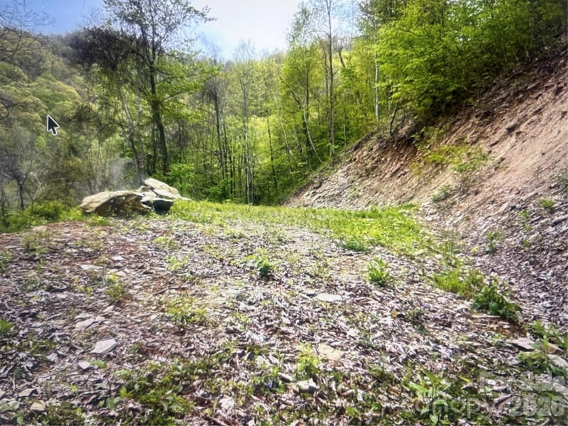 Huckleberry Walk #61, Bryson City, NC 28713