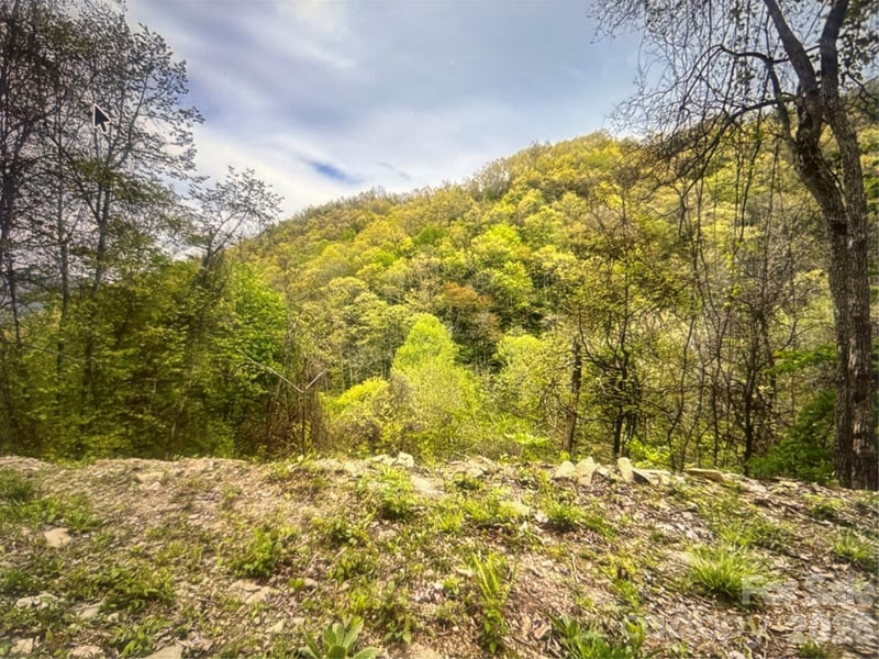 Huckleberry Walk #61, Bryson City, NC 28713