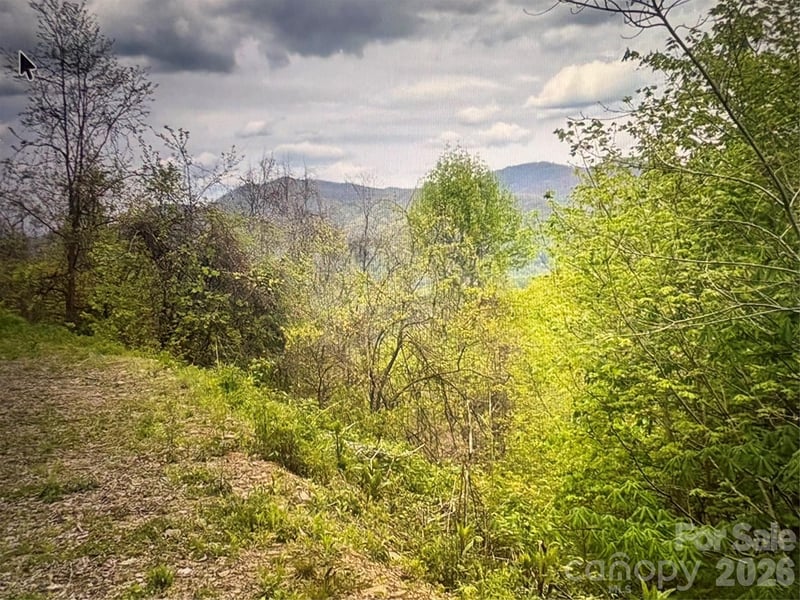 Huckleberry Walk #61, Bryson City, NC 28713