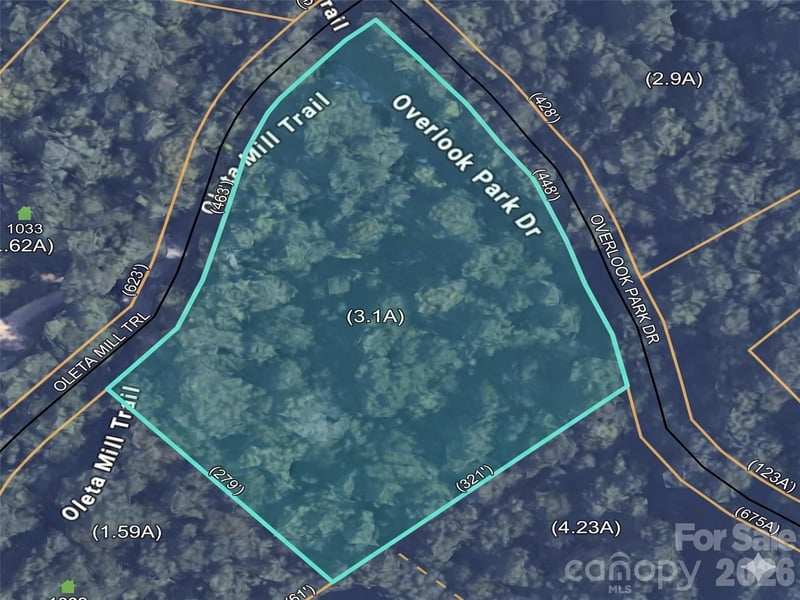 1034 Oleta Mill Trl #49, Hendersonville, NC 28792