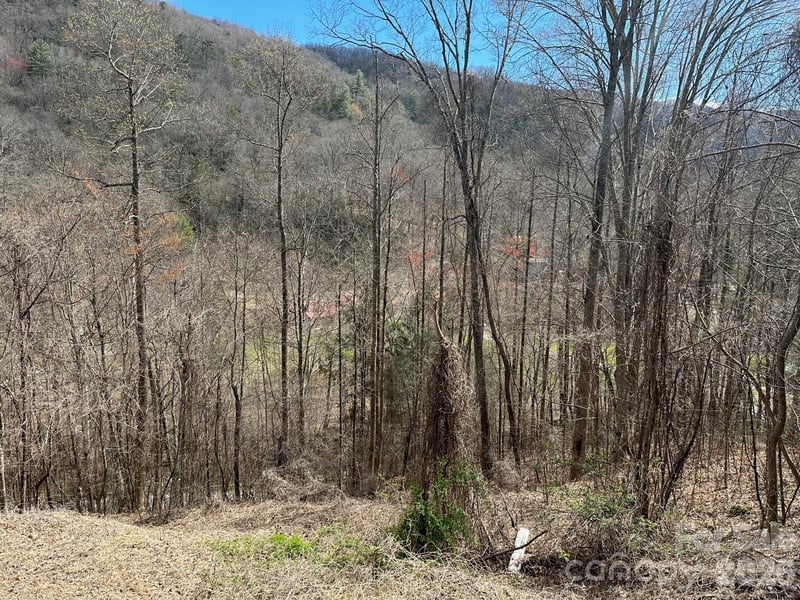 Tuckaway Ridge Dr, Hendersonville, NC 28792