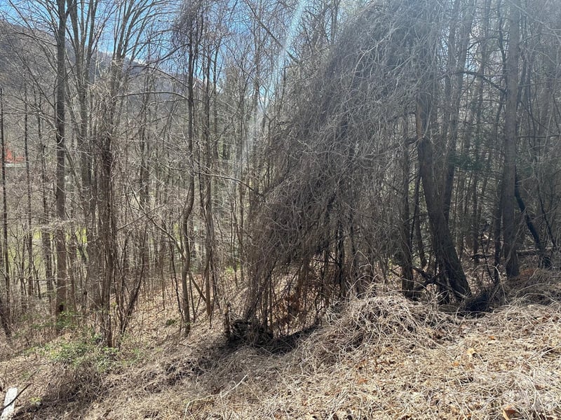 Tuckaway Ridge Dr, Hendersonville, NC 28792
