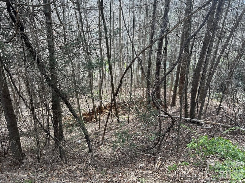Tuckaway Ridge Dr, Hendersonville, NC 28792