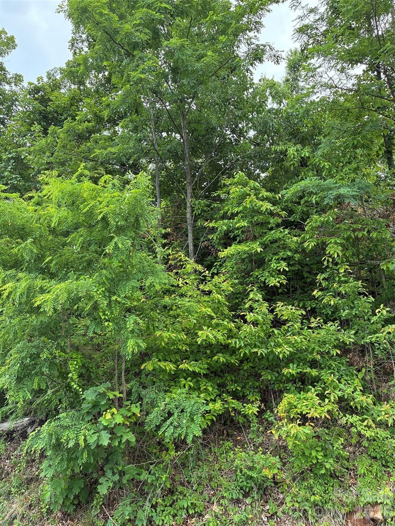 124 Devin Ridge Ln #124, Union Mills, NC 28167