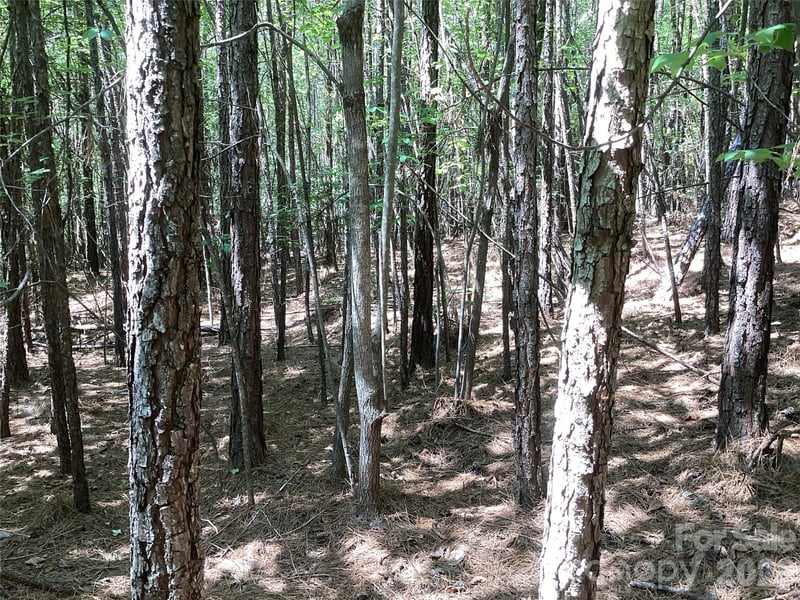 00 Powell Rd, Mill Spring, NC 28756