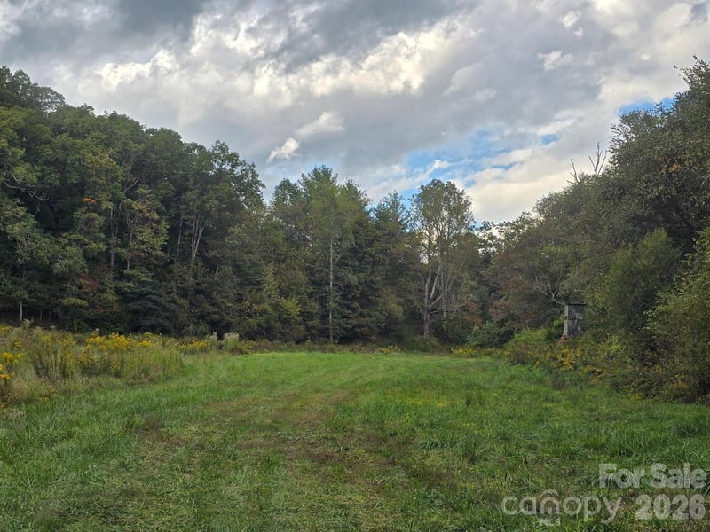 000 Cook Ln #24.87 Acres, Mills River, NC 28759